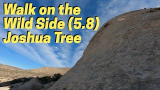 Walk on the Wild Side (5.8) | Rock Climbing in Joshua Tree Update
