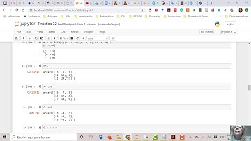 Ejercicios con matrices en Python