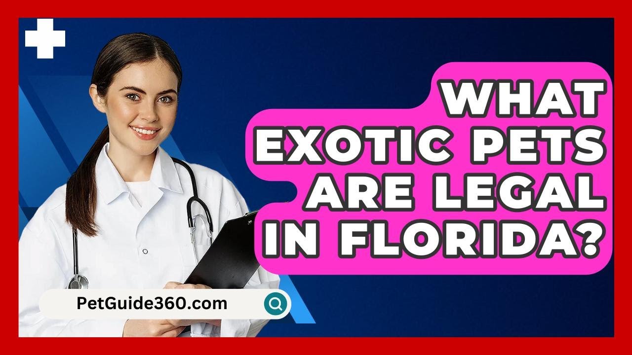 What Exotic Pets Are Legal In Florida? - PetGuide360.com