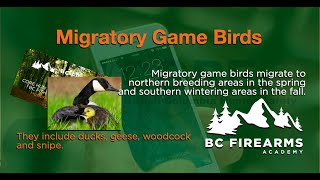 Migratory Game Birds CORE Hunting Video screenshot 5
