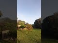 Um belo amanhecer na roça , os caipiras do MS #vivendonocampo#produtividadenocampo#agro