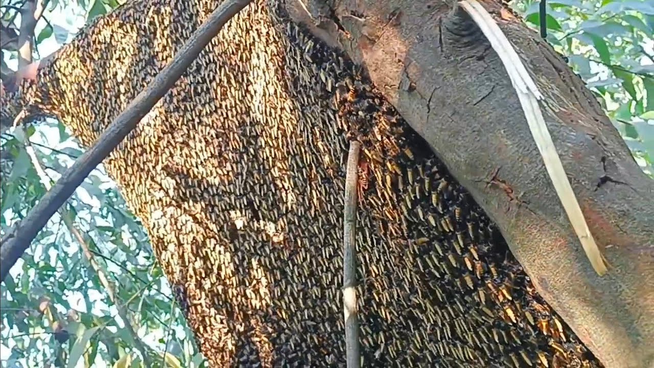 Selalu bersyukur atas rezeki yg di berikan Allah SWT