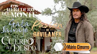 INTERVIEW WITH MARIO CIMARRO