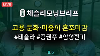 [체슬리모닝브리프] 민간고용둔화/ISM서비스업PMI. 테슬라판매동향. 삼성전기/증권섹터. 니오 실적 [25/06/05]