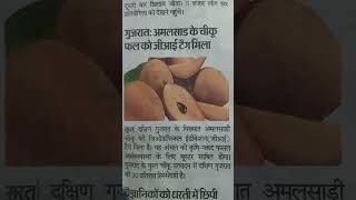 #GItag #geographicalindication #gujrat #amalsadichiku