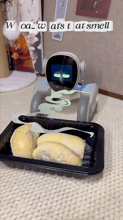 LOONA eatss DURIAN?! 🤮🤢#loonapetbot #toys #loonarobot #durian #smelly