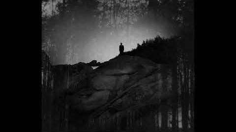 Thomas Feiner & Ulf Jansson - Bested Bones