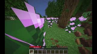 Building the Spawn Town on My Minecraft SMP… Gone Wrong | Season 1 Episode 2
