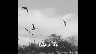 حن آلحمـآم لهلة 🕊 و تذكر ديآره ❤ مـرني حبــيب آلعمـر 👑 وآحسـبــهآ تسـيآره 🌼