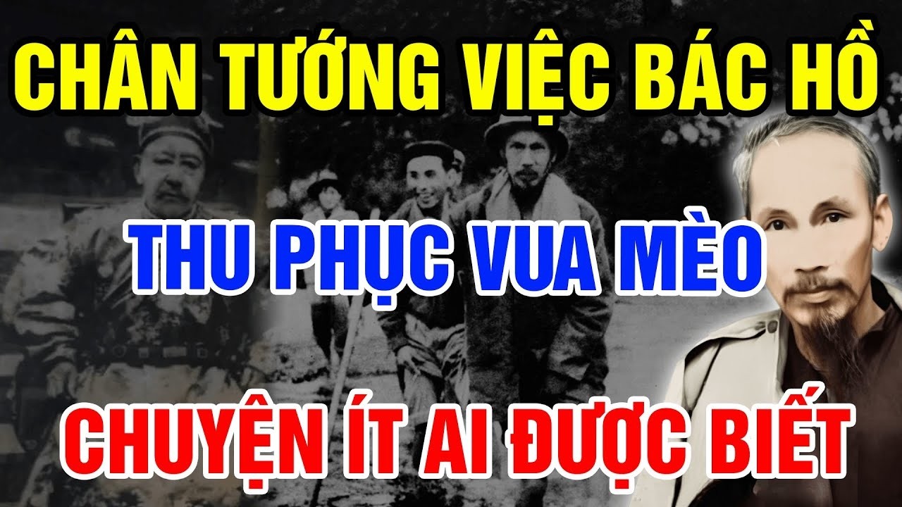 SỰ THẬT GÂY SỐC: Vì Sao Bác Hồ Kết Nghĩa Anh Em Với “Vua Mèo” Và Trao Bảo Kiếm Tận Trung?