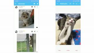 Twitter Video Downloader Demo - Bulk Video Downloader for Twitter screenshot 5