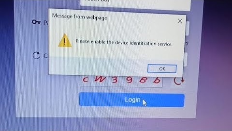 please enable the device identification service!: error with url http/127.0.0.1/1100status; error:er