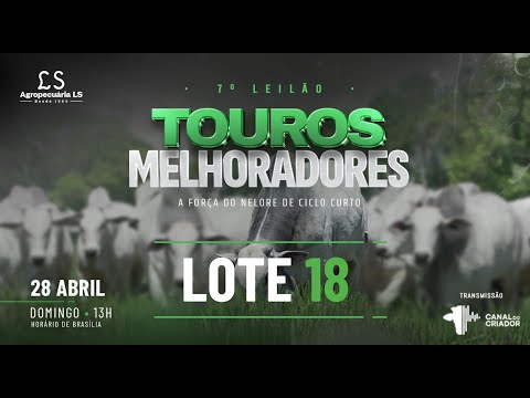 LOTE 18