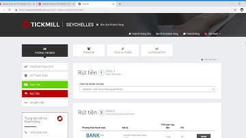 Hướng Dẫn Rút Tiền Từ Tickmill Về Ví Ngân Lượng
