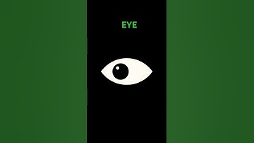 Seek Loop (Mr Sun phase 3) [Eye Loop] (that I made) #animation #eye #seekloop #eyeloop #loop #👁️