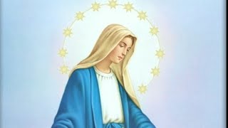 Lundi 2  Février  2026 - Divine Miséricorde