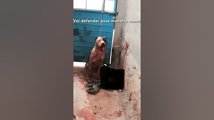 O caso aconteceu no México!!  Pitbull chamado Max quase arranca um braço de um assaltante que tentou