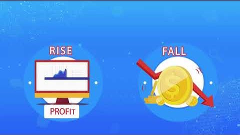 Royal Q Robot introduction