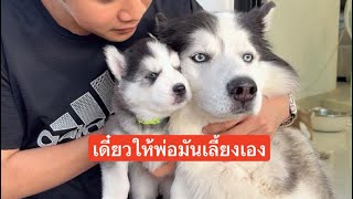 ข้าวคั่วอย่ามาเถียงพ่อนะถ้าเลี้ยงลูกไม่ดีก็ไห้คนอื่นเลี้ยง