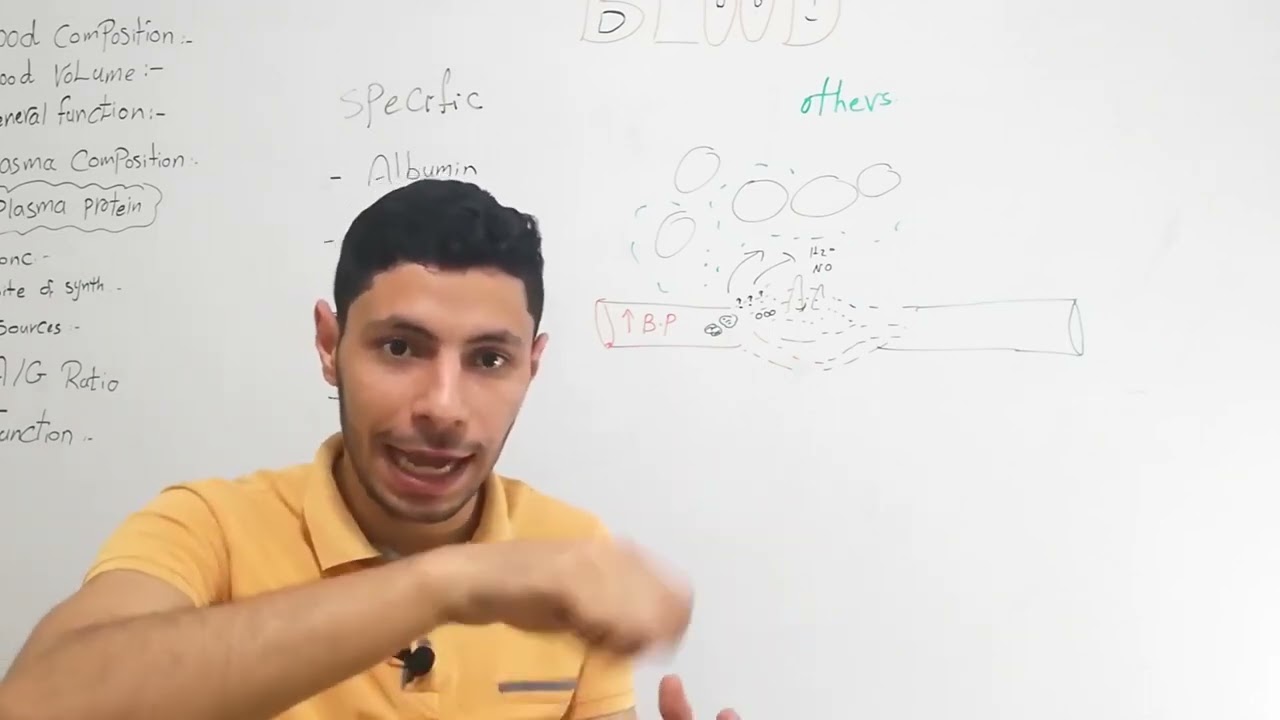 3 (Functions of plasma protein)