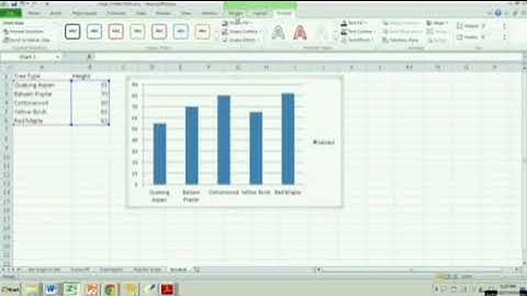 STD 8: Creating a Charts in Excel (2013)