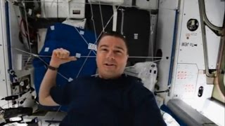 Астронавт НАСА провел виртуальную экскурсию по МКС (новости) http: 9kommentariev.ru