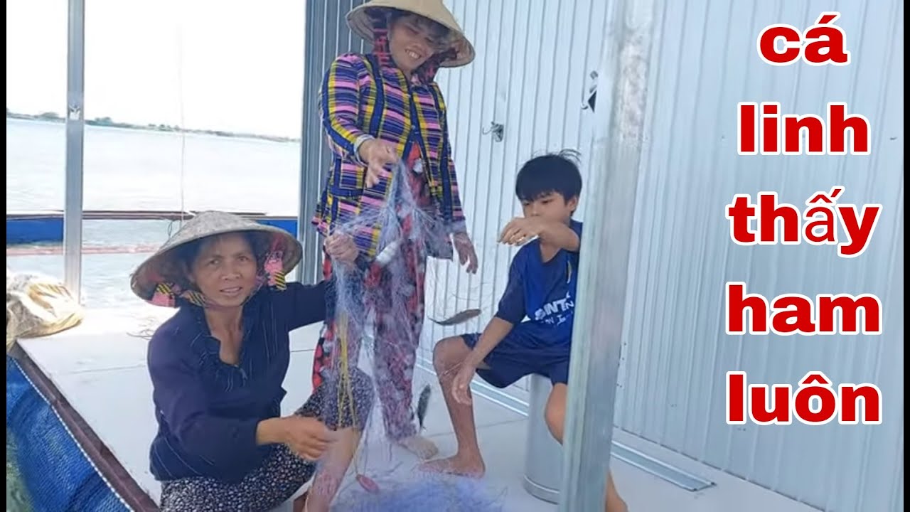 Giăng 2 Khúc Lưới Cá Không Ngờ Trúng Ngày Cá Linh Xổ Dính Lưới Thấy Mê # SĂN BẮT ĐỒNG THÁP #