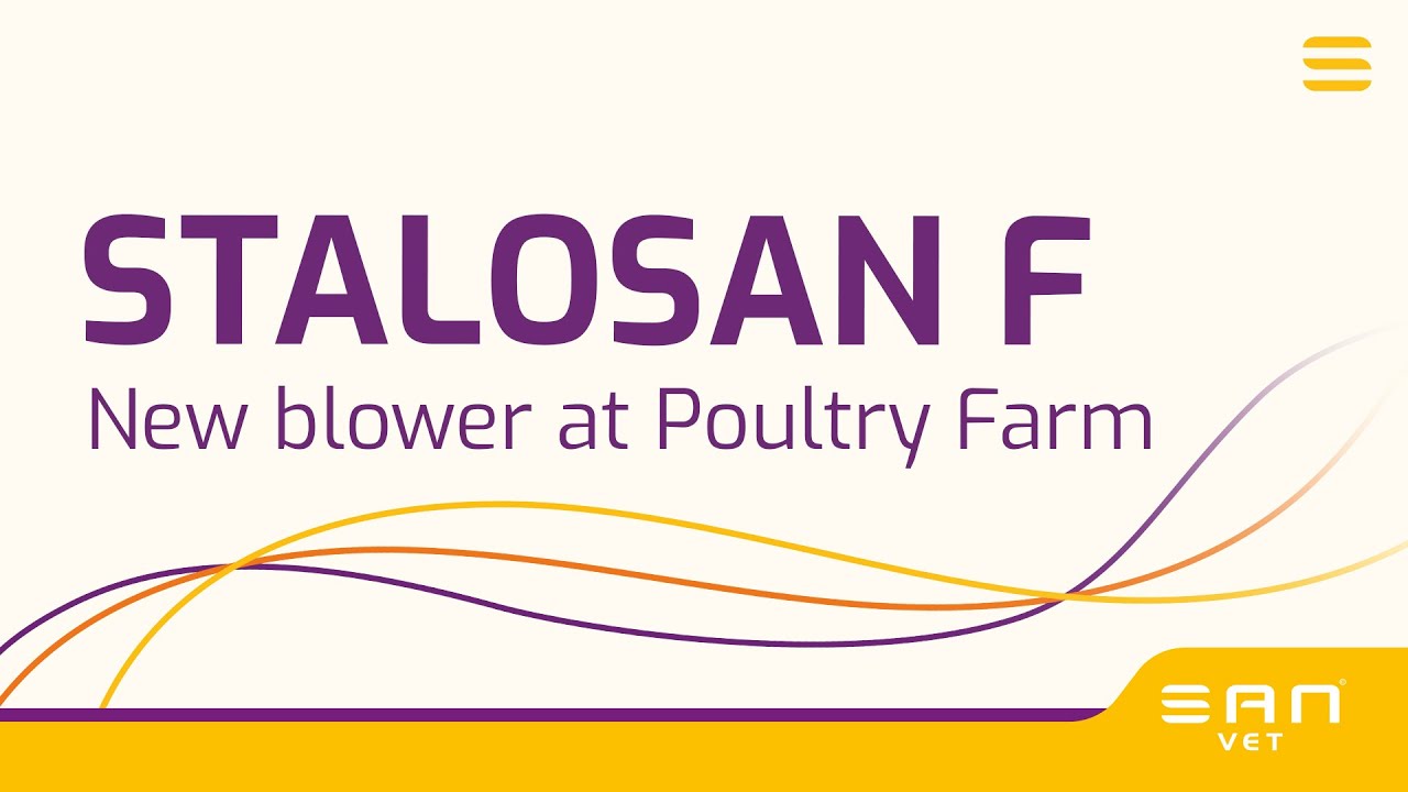 Stalosan® F Proteção em todos os cantos!