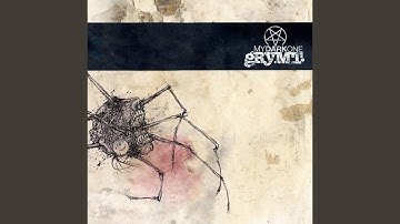 Fastidious Monster, You Hypocrite Rocker