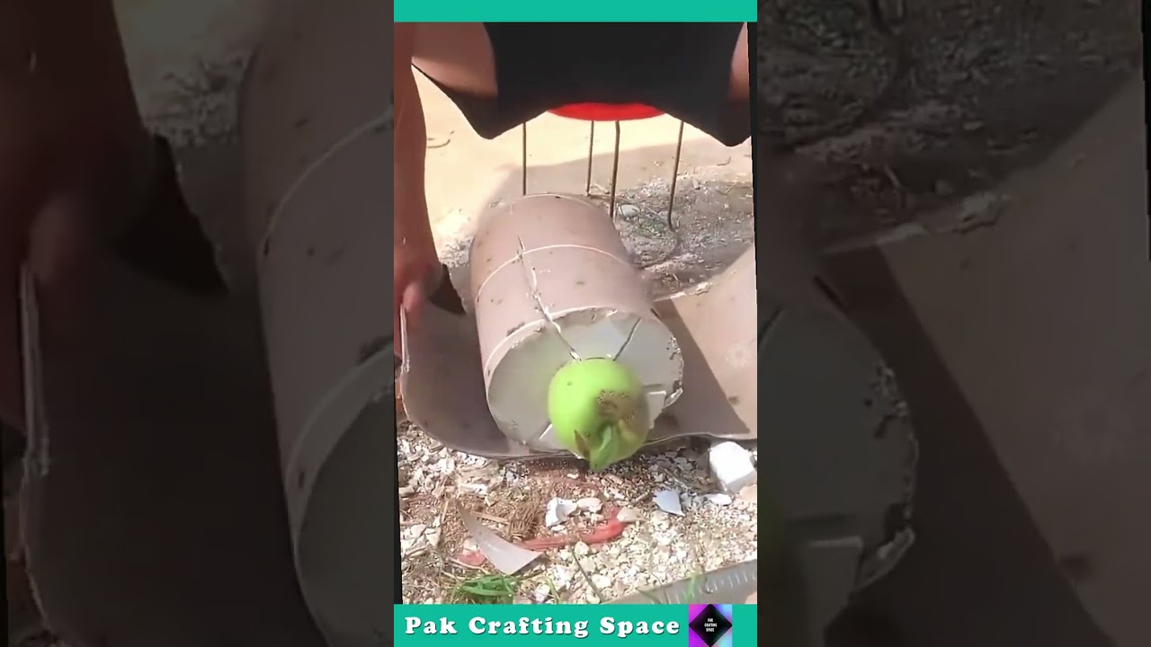 The Process Of Giving A Pumpkin A Baby Shape