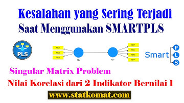 pls sem smartpls singular matrix problem constraints, correlation 1