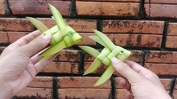 Hướng dẫn xếp con cá bằng lá dừa 2