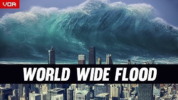 Top 5 Scientific Reasons Noah