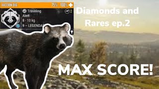 Diamonds and Rares ep.2 | theHunter : call of the wild
