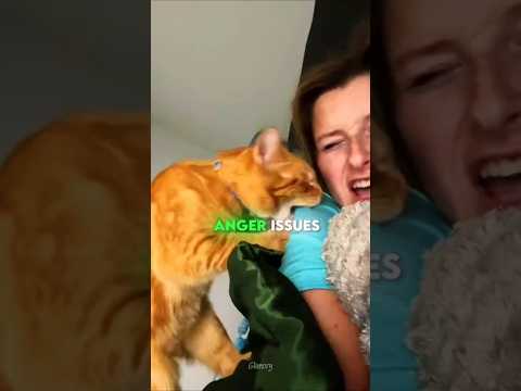 تحدي البكرات