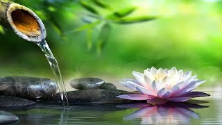 No Ads Relaxing  For Sleeping deep Sleep  Calming For Sleep Stress Relief Meditation