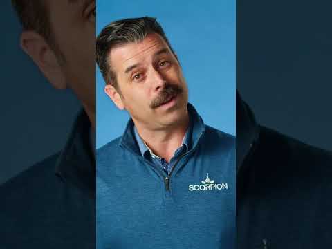 seo reputation management
