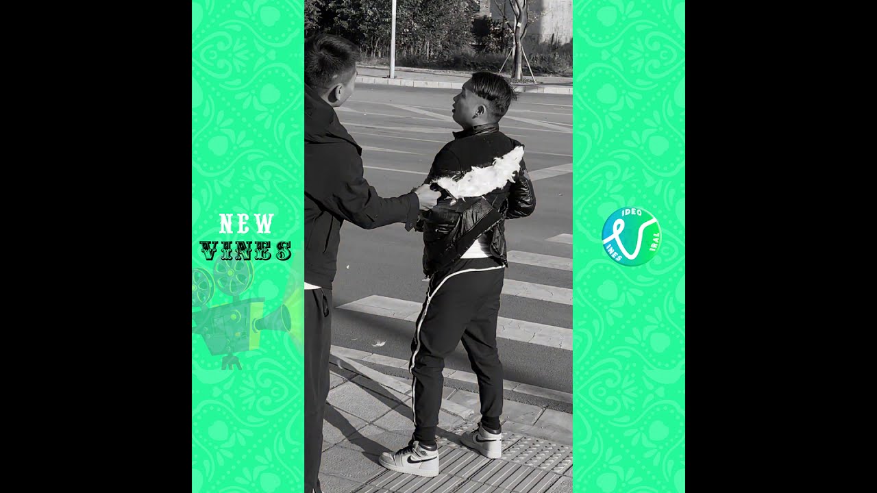 Best Funny Videos | Trending Tik Tok Funny Video P14 | New Vines 