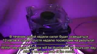 √ Part #1. Testing of full spectrum LED 30W DIY.  Тестирование светодиодной матрицы УСКИ 30Вт.