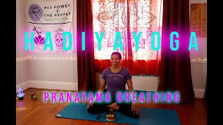 Pranayama 1.0 | Breathwork Tutorial | H A D I Y A Y O G A