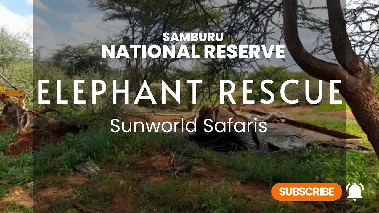 sunworld safaris samburu