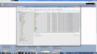 How to reset Applocker's password and settings with iFunbox on Windows screenshot 4