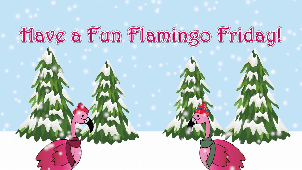 Flamingo Friday!