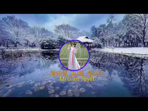 眉间雪 _DJ版_ (Mi Gian Tuyết)#彤大王#抖音热门最好听的歌曲2022🔥