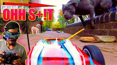 RC Car In N Out Troll Prank vs AMERICAN BULLY PUPPY