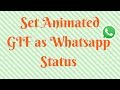 How to Set Animated GIF as Whatsapp Status