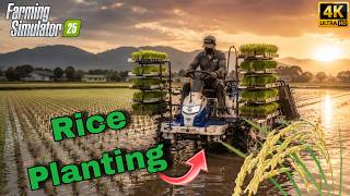 🌾 FS25 Rice Planting LIVE 🚜 Ultra Realistic Graphics | Rice Transplanter in Water Field | FS25