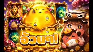 กูว่าแล้วมันต้องโดน @เดย์ 3 ➤ ไม่ต้องอัพก็ได้!   Royao Potato 2
