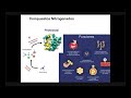 Clase 8   Nutricion Proteica