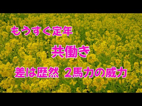 共働き ダブルインカムの威力